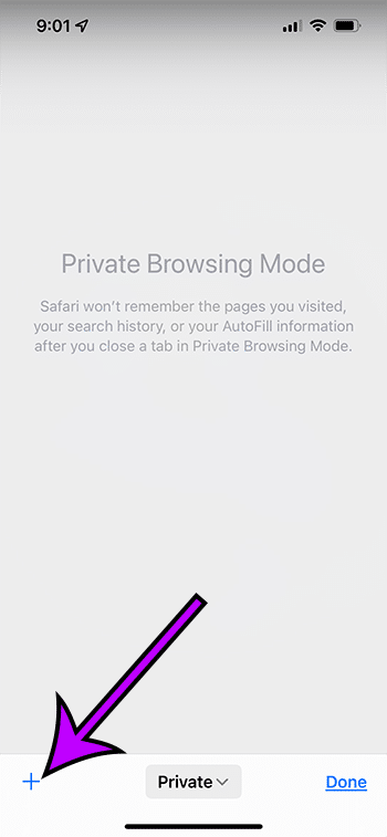 How to open a new private browsing tab in safari on an iphone 13