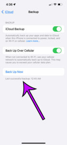 view iPhone 13 backup information
