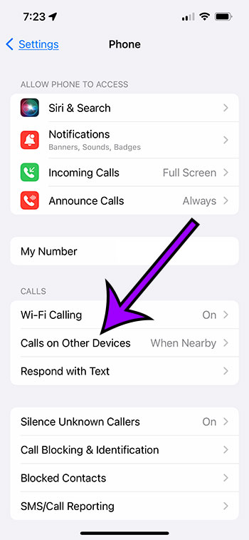 choose Calls on Other Devices