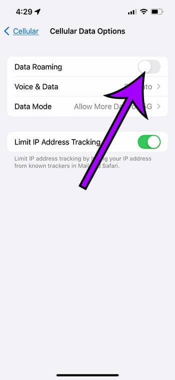how to turn on or turn off roaming on iPhone 13
